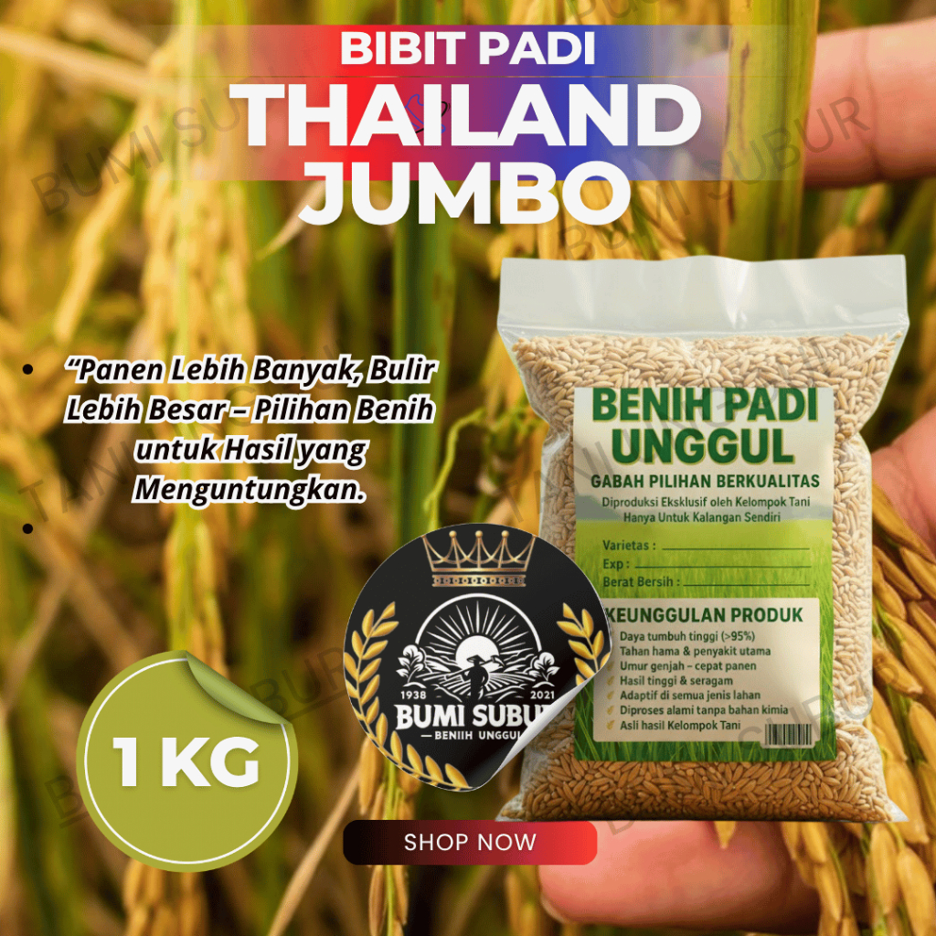 Benih Padi Thailand Jumbo 5kg | Bibit Padi Unggul | Hasil Panen Melimpah & Pulen