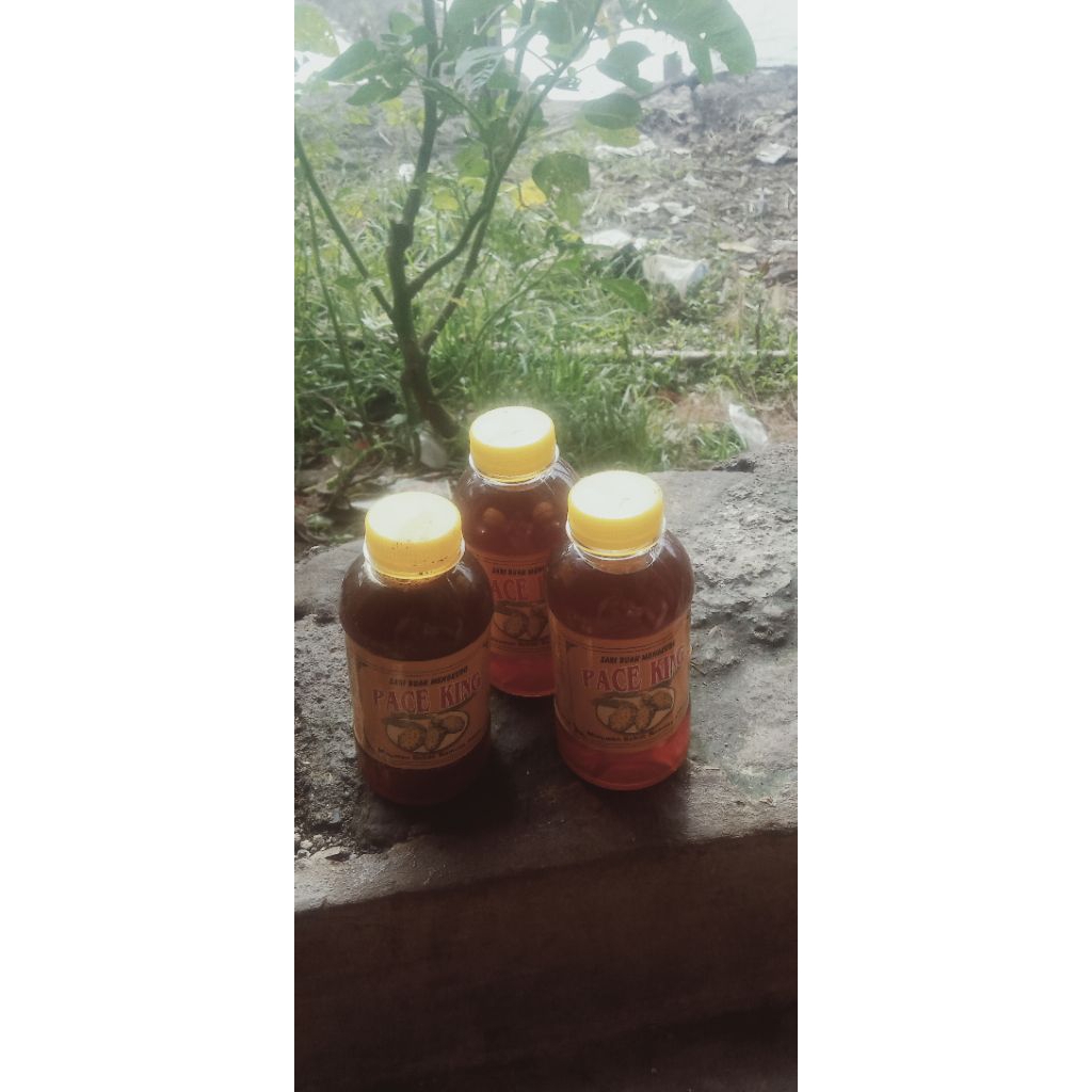 fermentasi mengkudu,jus mengkudu