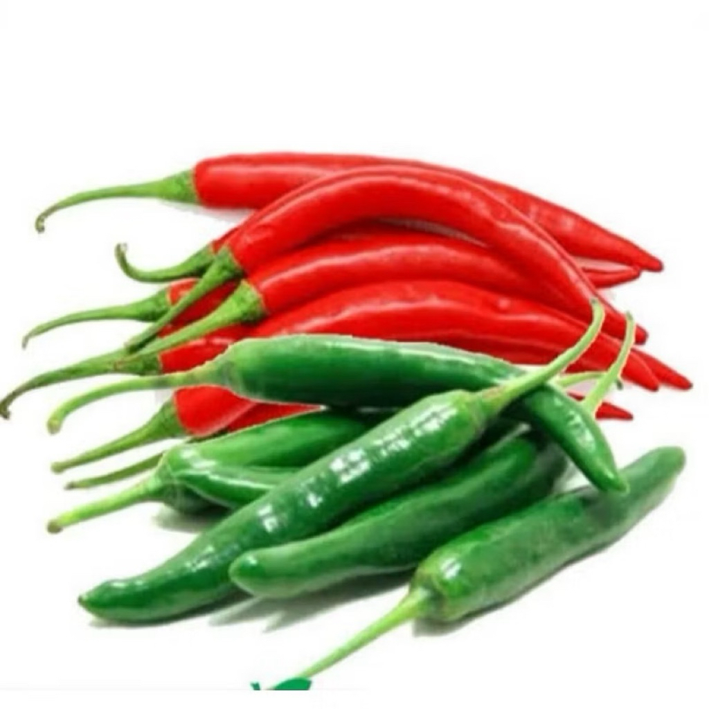 LOMBOK BESAR MERAH DAN HIJAU