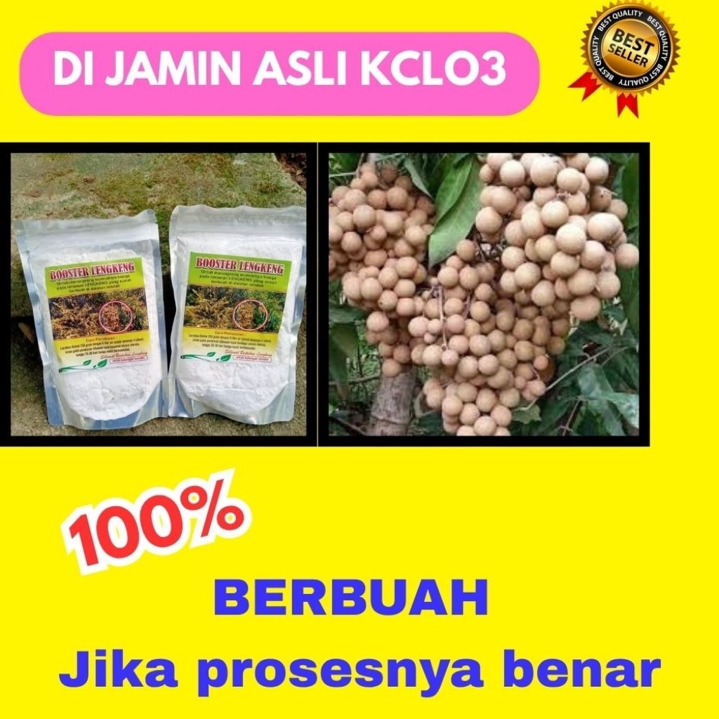 Booster Kelengkeng Serbuk, Booster Kelengkeng Terbaik