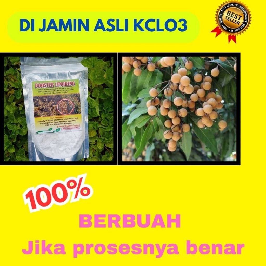 Booster Kelengkeng Yang Bagus, Booster Kelengkeng 1Kg