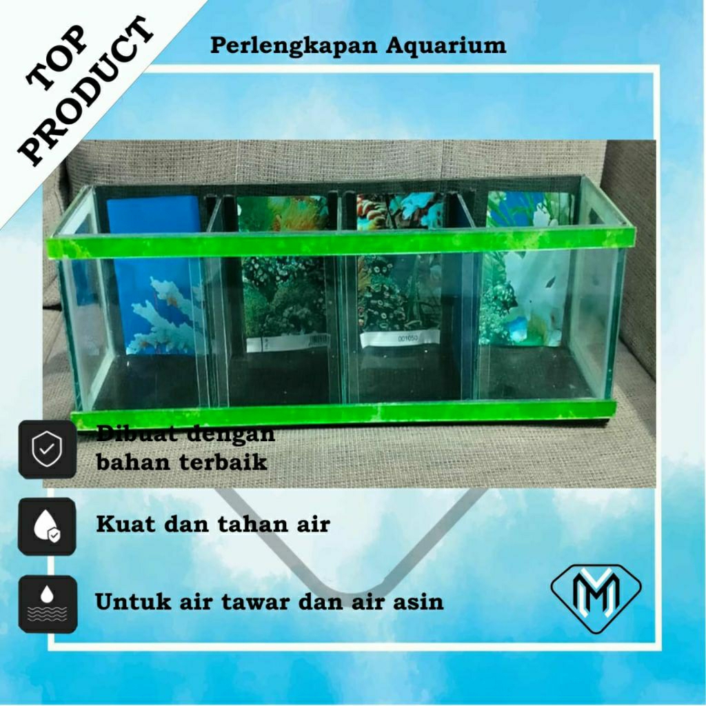 SOLITER IKAN CUPANG SEKAT 4 / AQUARIUM KACA MINIMALIS MURAH / JUAL AQUARIUM IKAN CUPANG 4 KAMAR