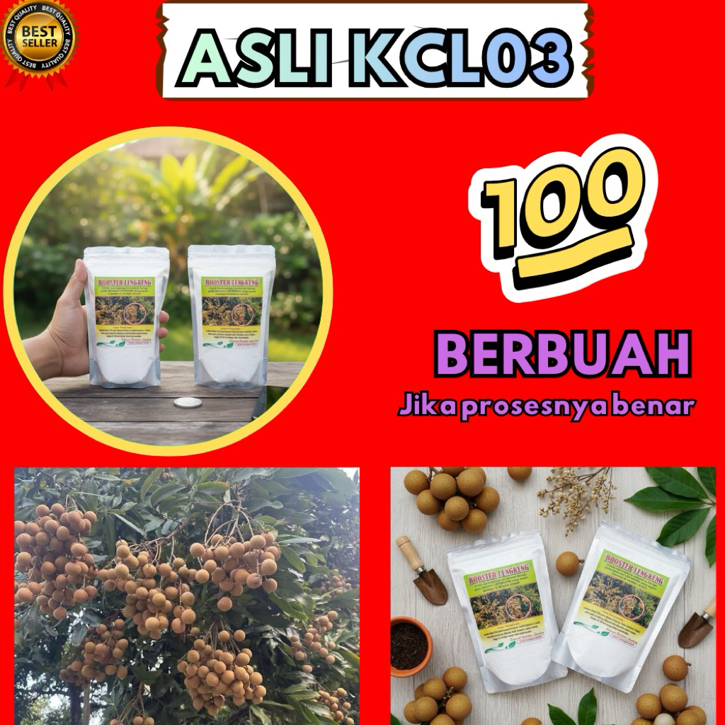 Booster Kelengkeng Kristal, Booster Kelengkeng Murni