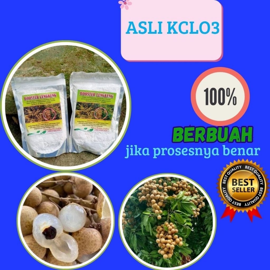 Pupuk Kelengkeng Kclo3, Pupuk Kelengkeng Merah