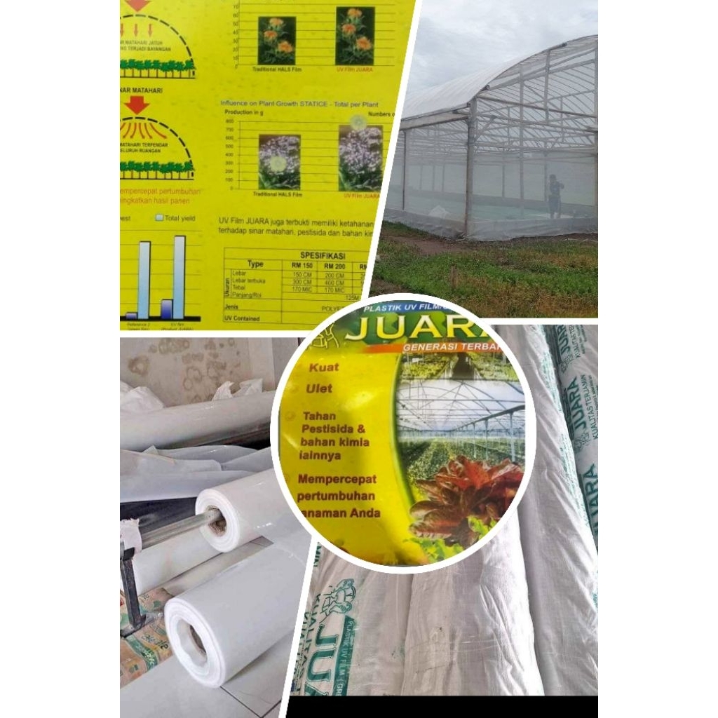 Plastik UV Greenhouse JUARA 200 Micron Lebar 6 Meter 1 Roll