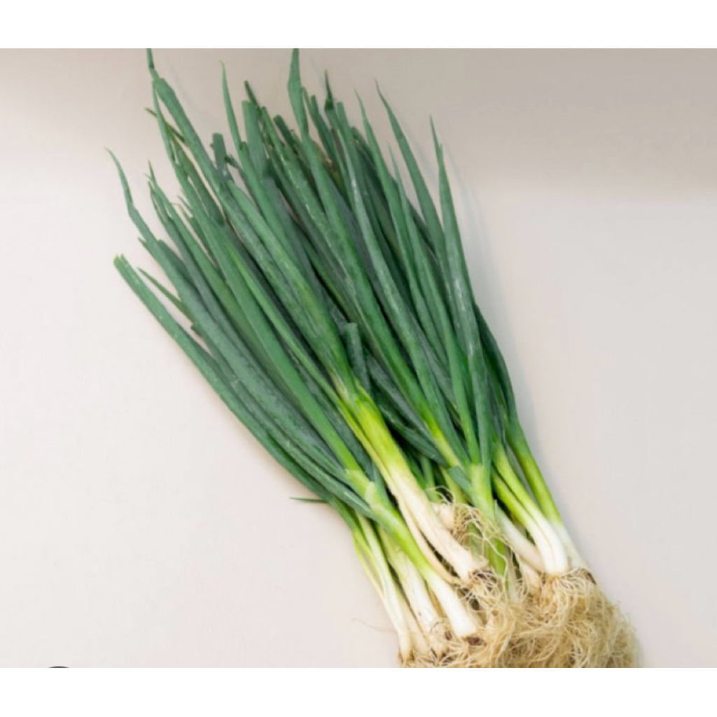 Daun bawang/daun bawang fresh/daun bawang segar/daun bawang instan