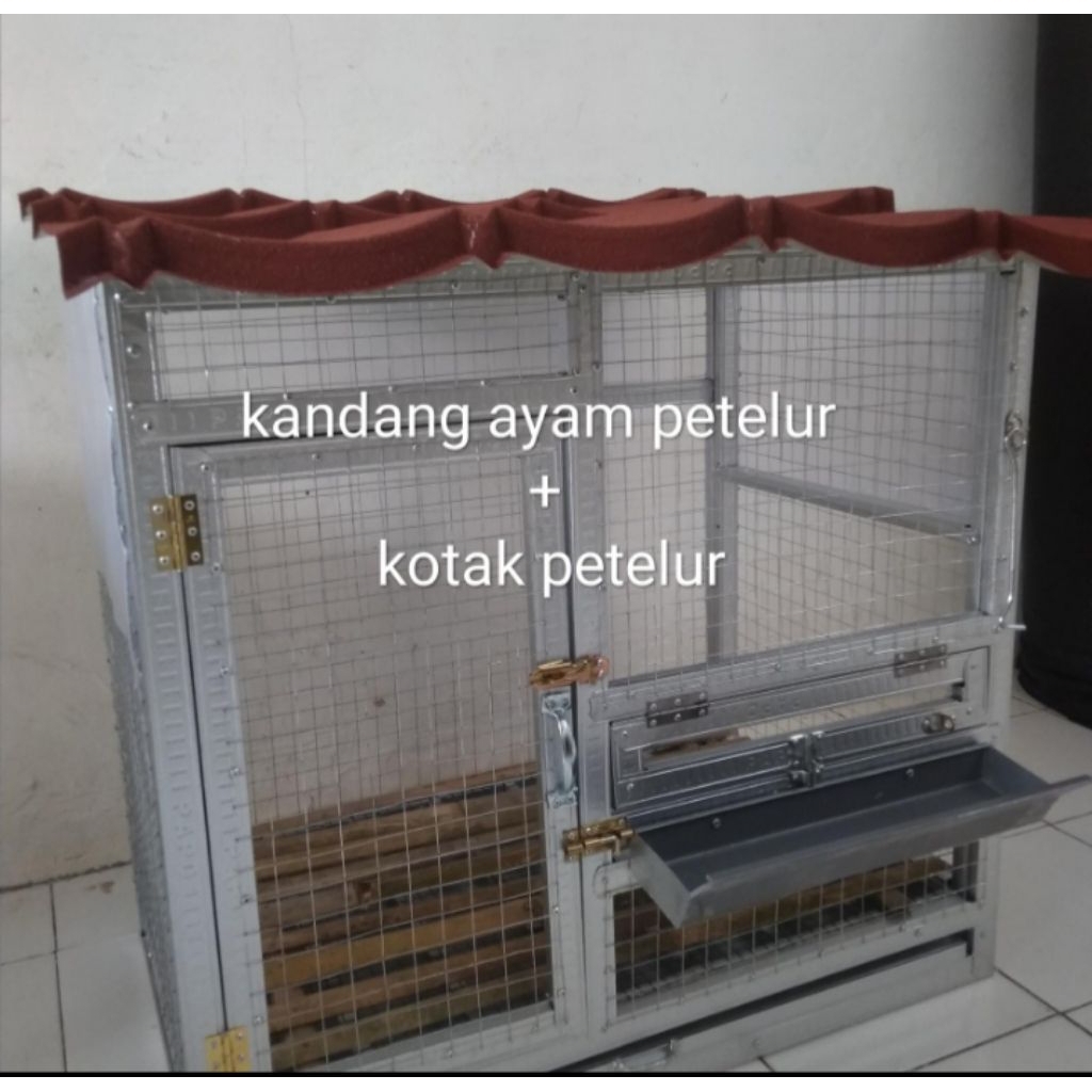 Kandang ayam petelur
