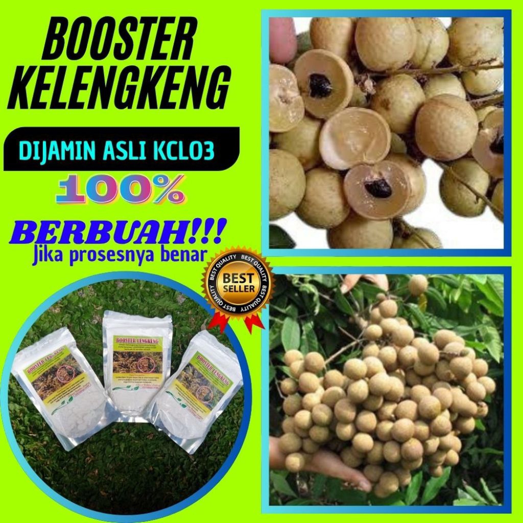 Boster Kelengkeng Kclo3 Terdekat, Boster Kelengkeng Kristal, Boster Kelengkeng Murni