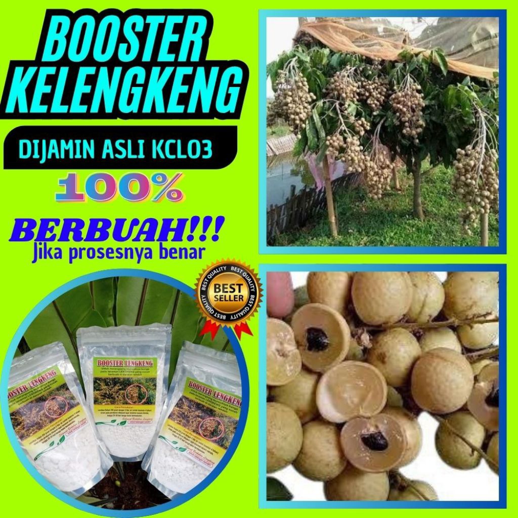 Boster Kelengkeng Serbuk, Boster Kelengkeng Terbaik, Boster Kelengkeng Terdekat