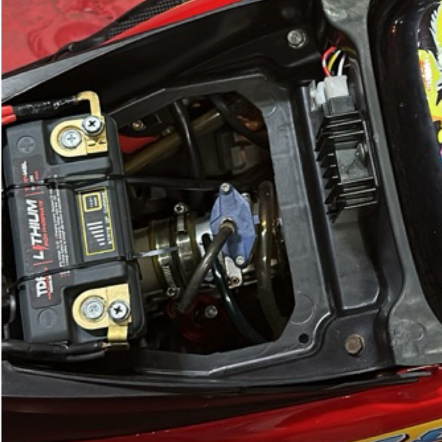 Aki TDR Lithium TLFP-14BL