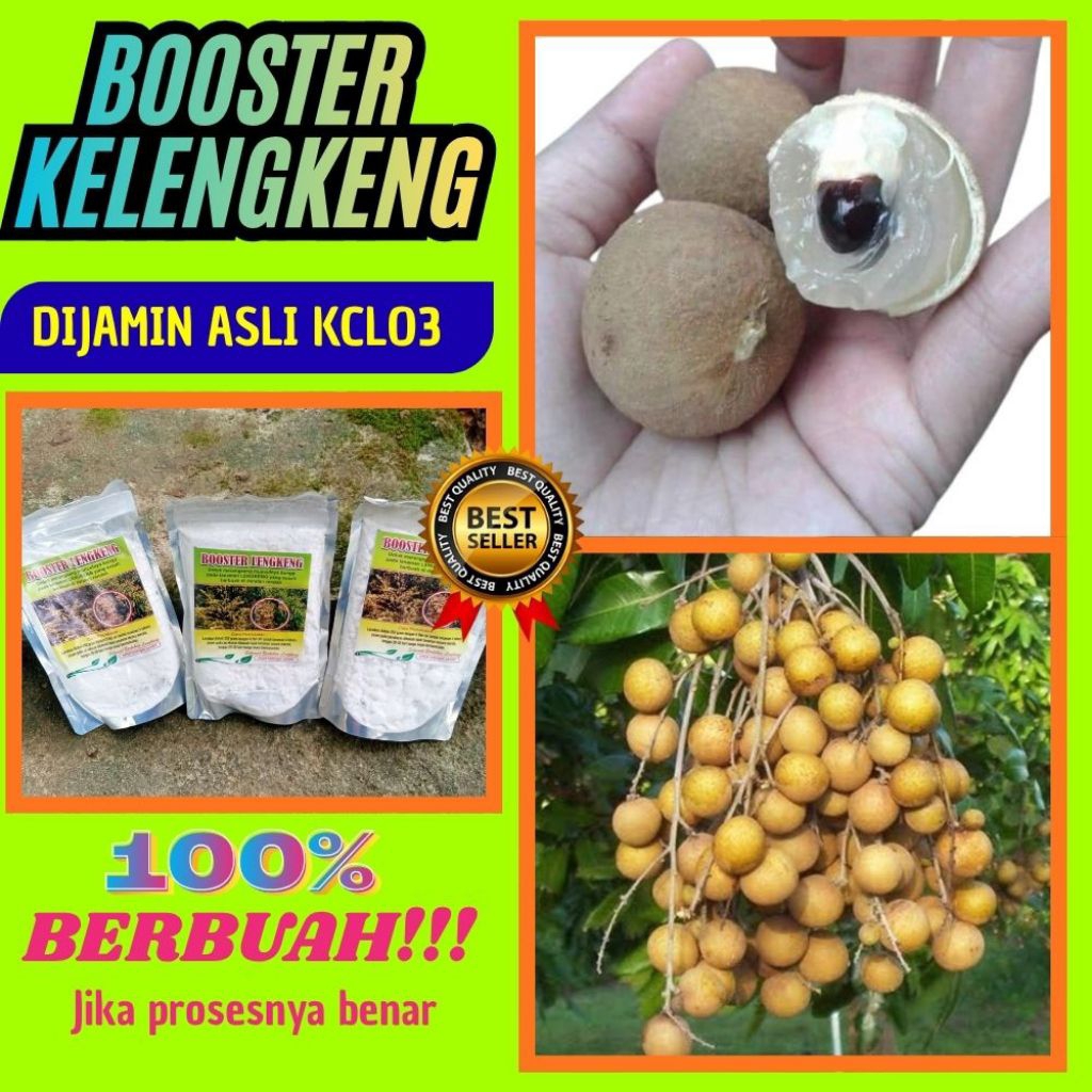 Booster Kelengkeng 1Kg