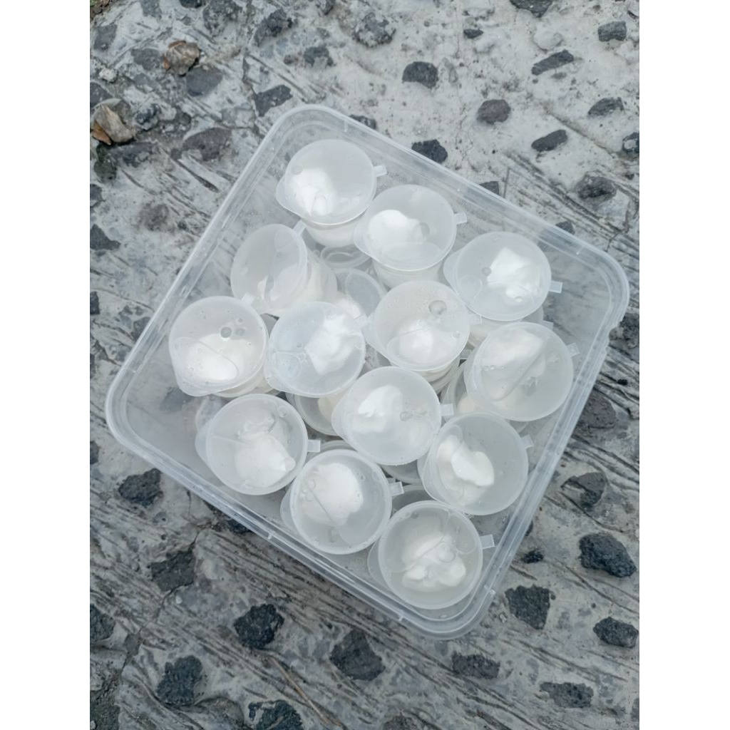 Pulut Burung Jebakan Pikat Getah Karet Kemasan