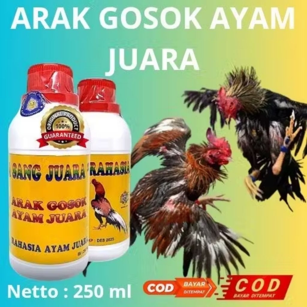 ARAK GOSOK AYAM ADUAN JUARA