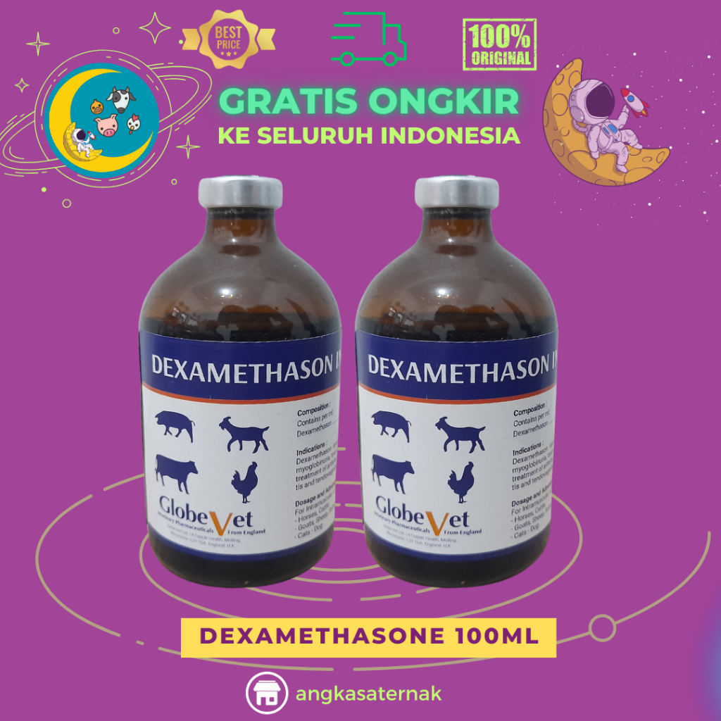 DEXA GLOBE VET 100 ml - DEXAMETHASON PANTEX HOLLAND