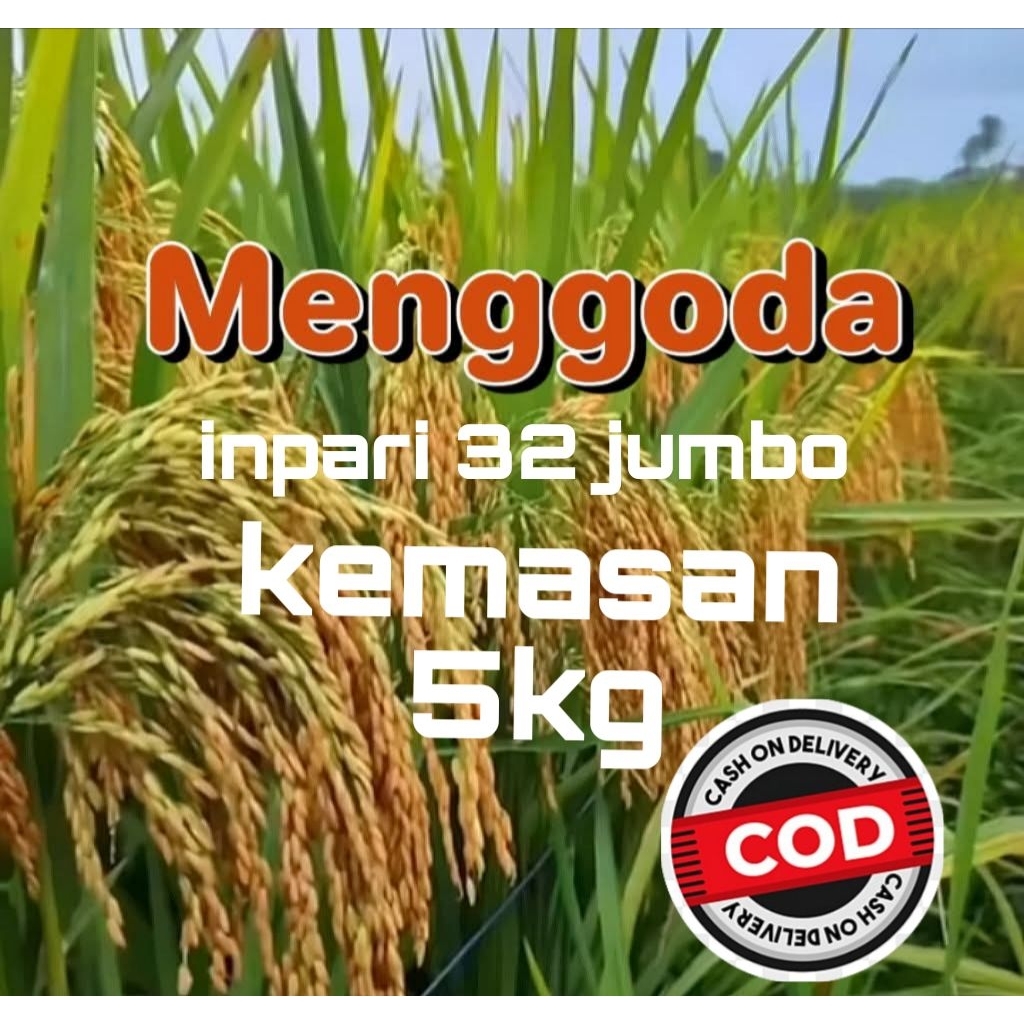 Benih padi super unggul inpari 32 jumbo kemasan  5kg
