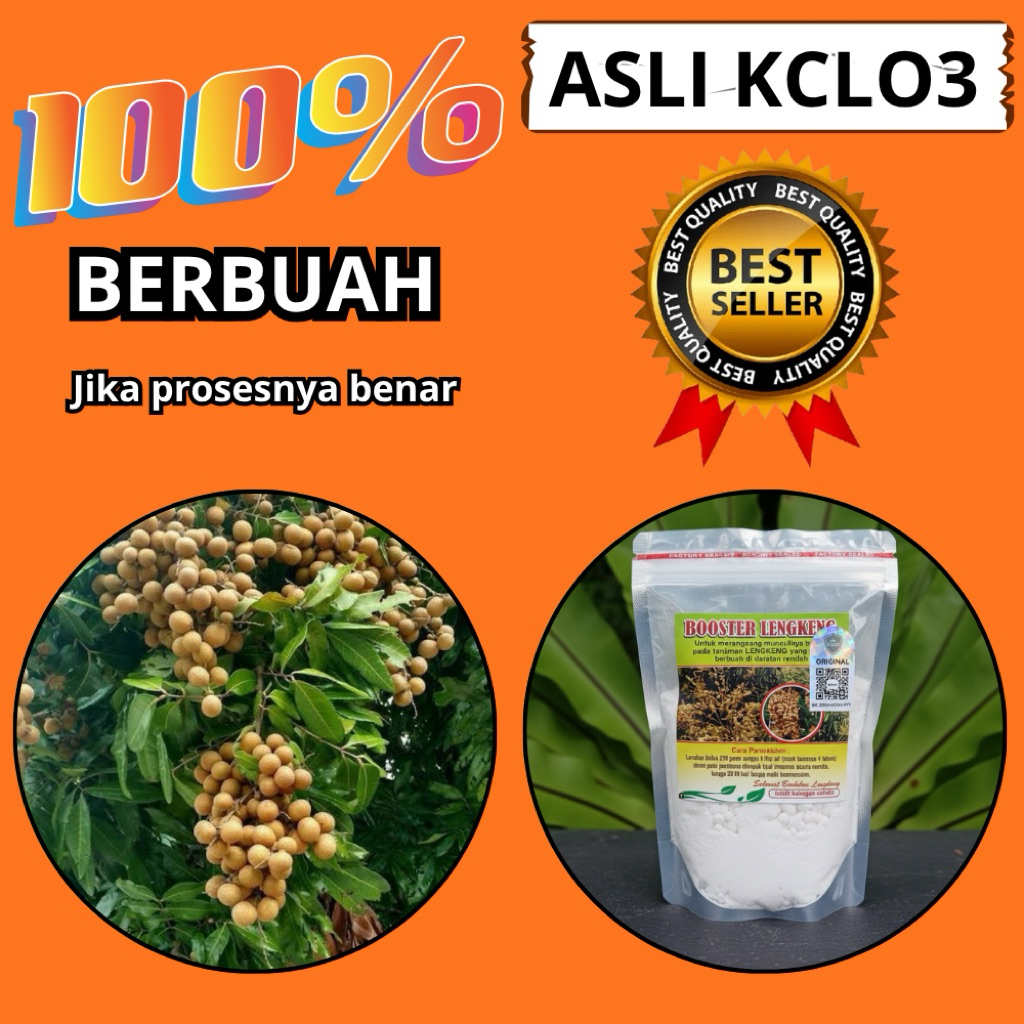 Booster Kelengkeng Buat Kelengkeng, Booster Kelengkeng Cair, Booster Kelengkeng Itoh