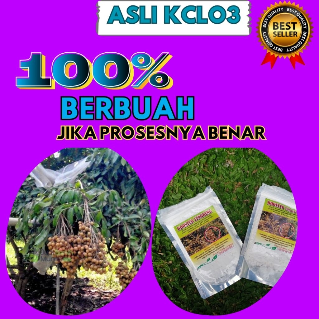 Booster Kelengkeng Terbaik, Booster Kelengkeng Terdekat, Booster Kelengkeng Untuk Mercon