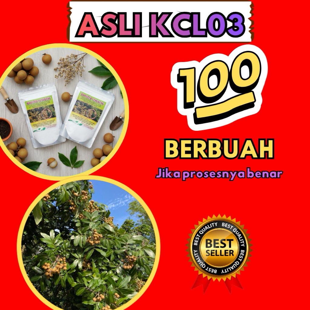 Booster Kelengkeng Kristal, Booster Kelengkeng Murni, Booster Kelengkeng New Kristal