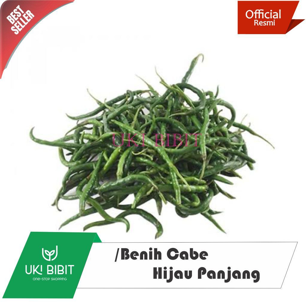 ( 10 Butir ) Benih Biji Cabai Hijau Panjang | Cabe Hijau Lombok | Cabe Hijau