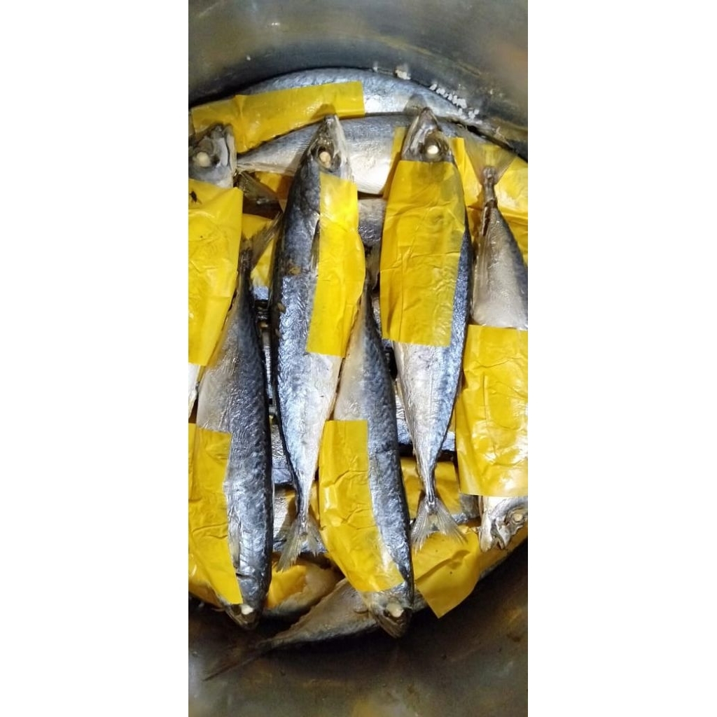 PINDANG IKAN SALEM SEGAR MURAH—PASAR CIHAURGEULIS