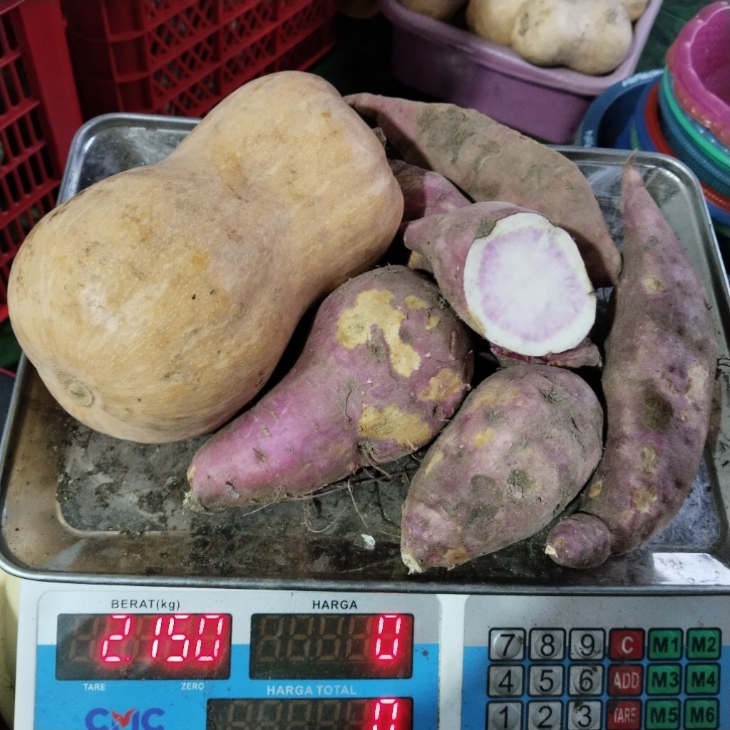 PAKET LABU MADU BUTTERNUT + UBI SAMARINDA UNGU 2KG MURAH