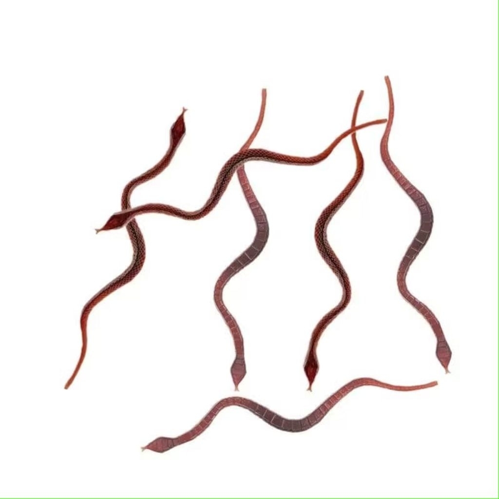 {YM} Mainan Gag Prank Toy Karet Serangga Lalat Kecoa Cacing Belatung Kalajengking Ulat Ular Palsu / 