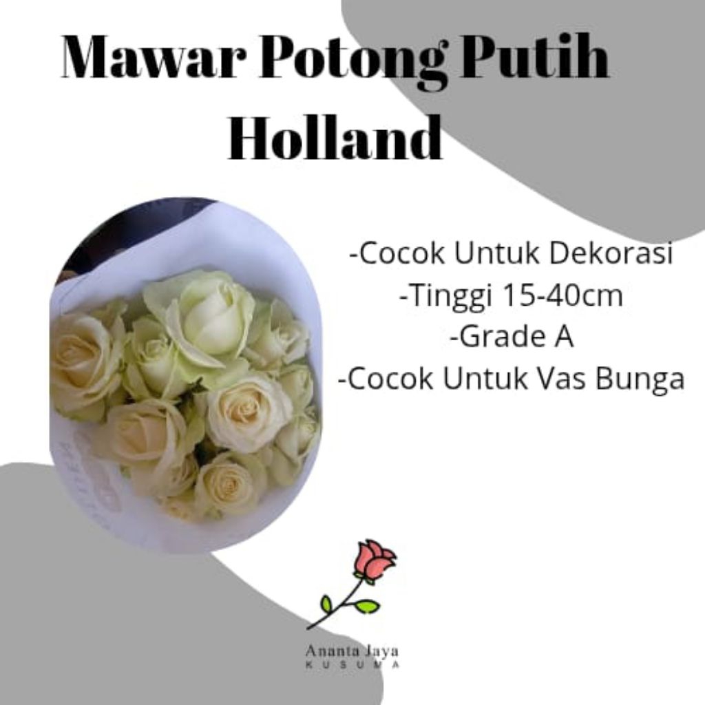 Mawar Putih Bunga Dekorasi (1ikt isi 25 tangkai)