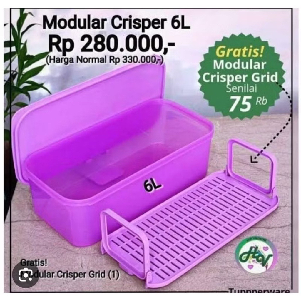Tupperware New Modular Crisper