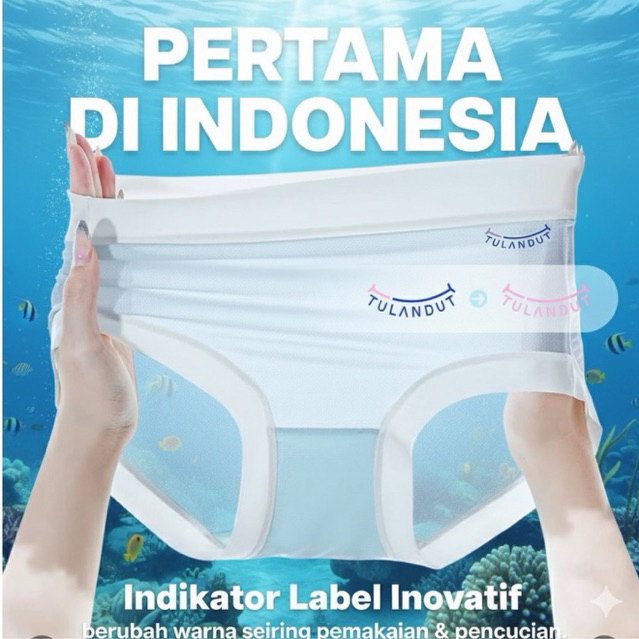 Tulandut Seamless Underwear Wanita | Celana Dalam Wanita Anti Bekas Jahitan | Lembut, Nyaman, Anti G
