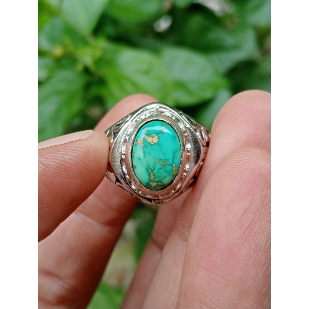 pirus Persia hijau urat mas 00021