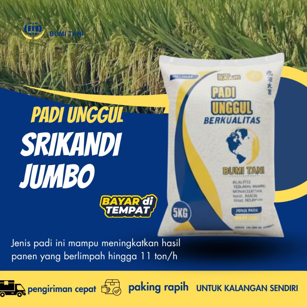Padi Unggul SRIKANDI JUMBO 1-5 KG Benih padi unggul