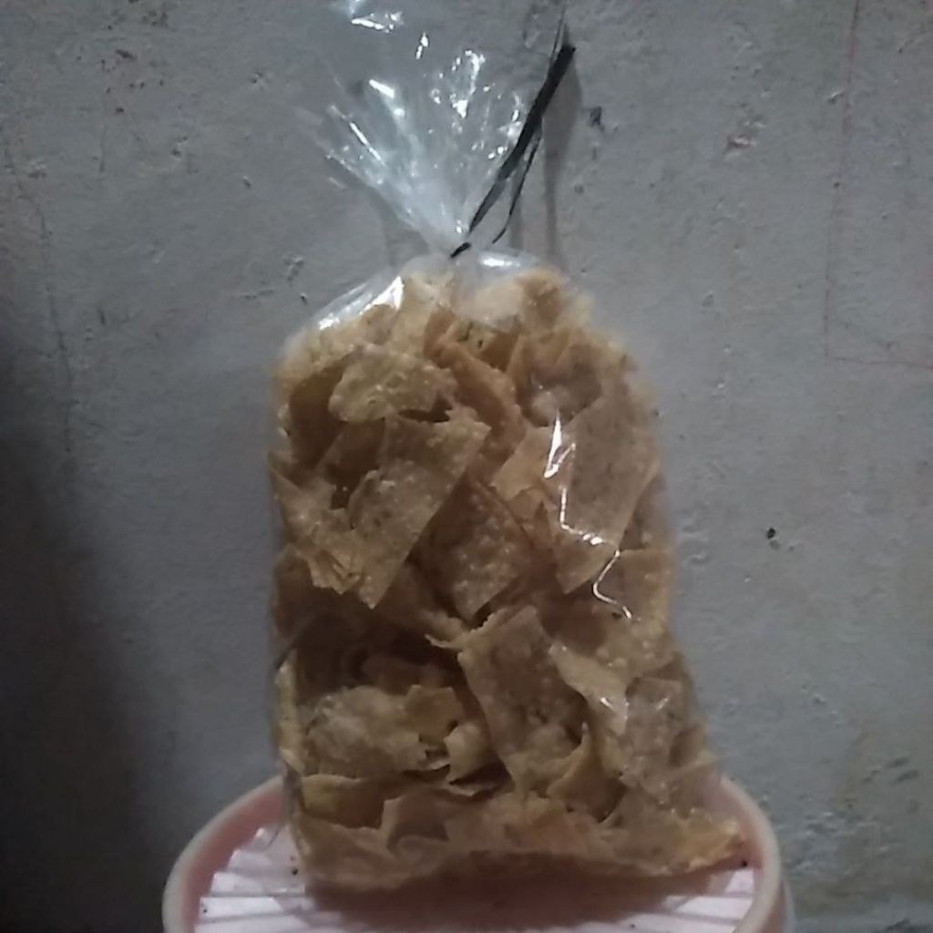PANGSIT GORENG RENYAH / CUMI CUMI