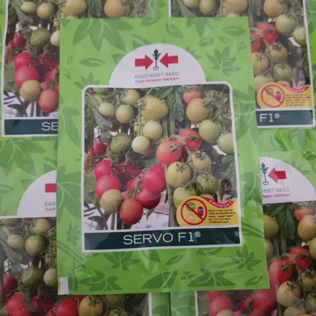 Benih Tomat SERVO F1