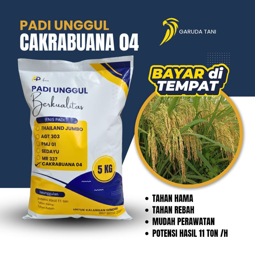 Benih padi unggul CAKRABUANA 04 5kg