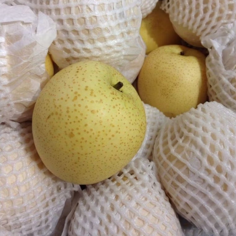 Buah Pir Segar - Pasar Makassar