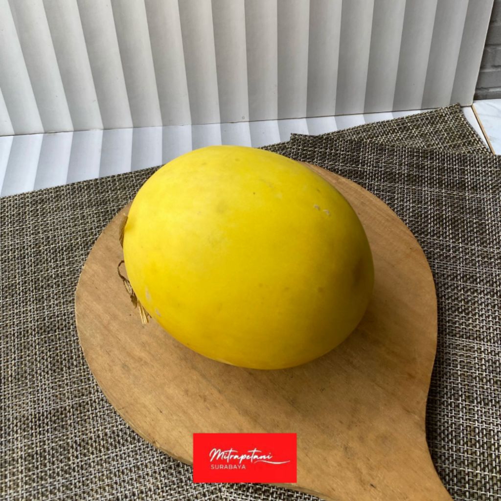 Melon golden/melon golden segar/melon golden manis/buah fresh
