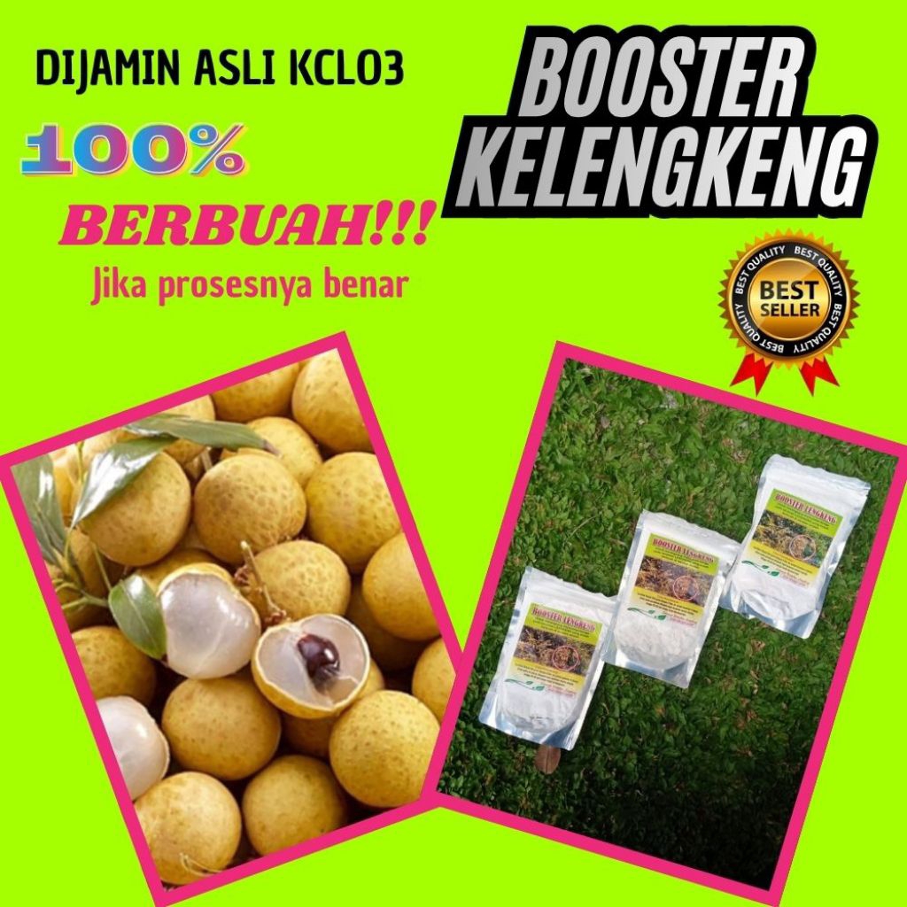 Pupuk Kelengkeng Cepat Berbuah, Pupuk Kelengkeng Kclo3