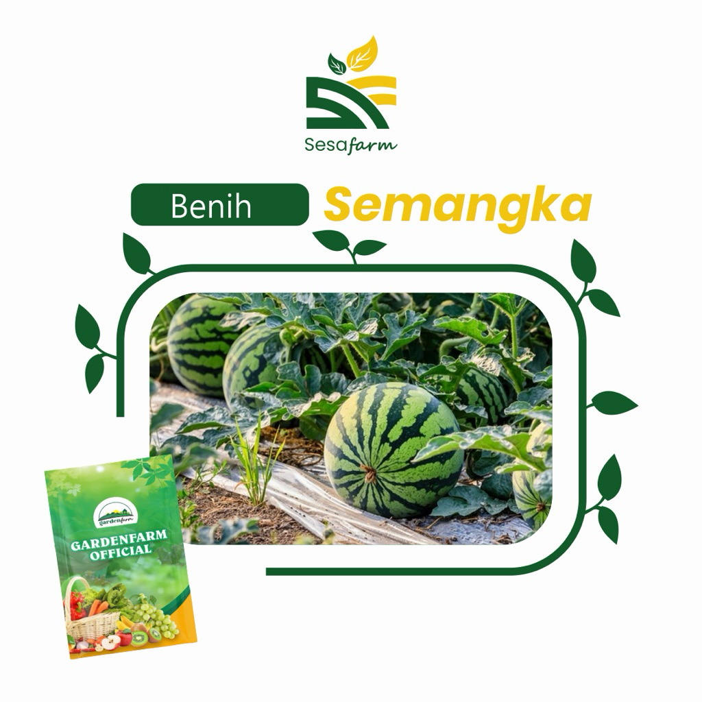 GARDENFARM - [SALE] BENIH SEMANGKA UNGGUL PREMIUM ORIGINAL 100% ISI ±10 Gr - BENIH SEMANGKA SUPER - 