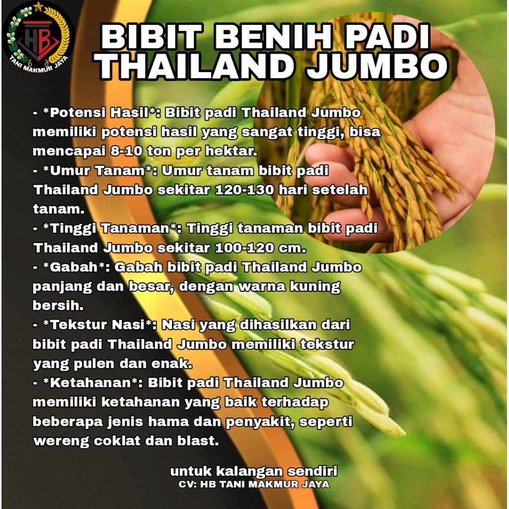 BIBIT BENIH PADI THAILAND JUMBO KEMASAN 1KG