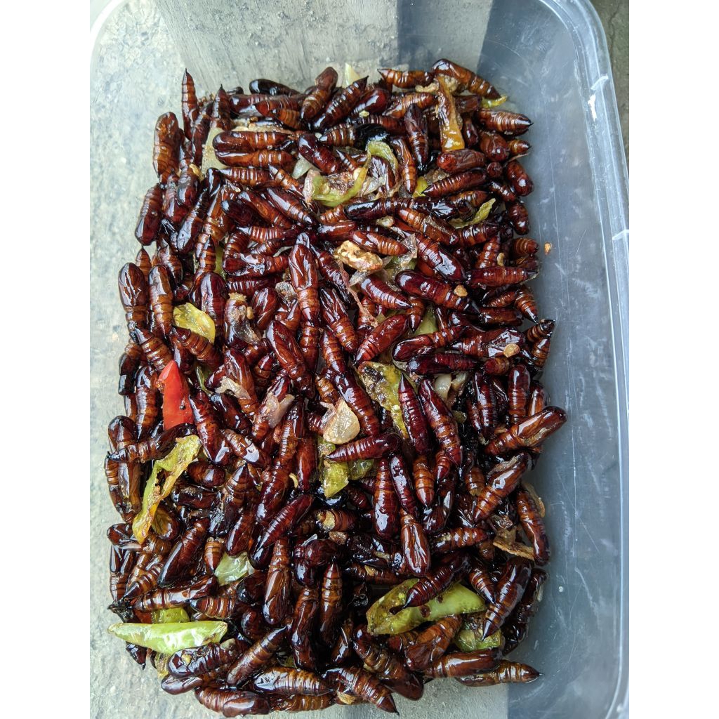 Entung jati goreng / ungker jati goreng gurih mantap Kemasan 150gram