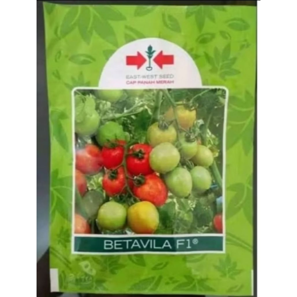 benih tomat betavila f1 isi 1750 butir