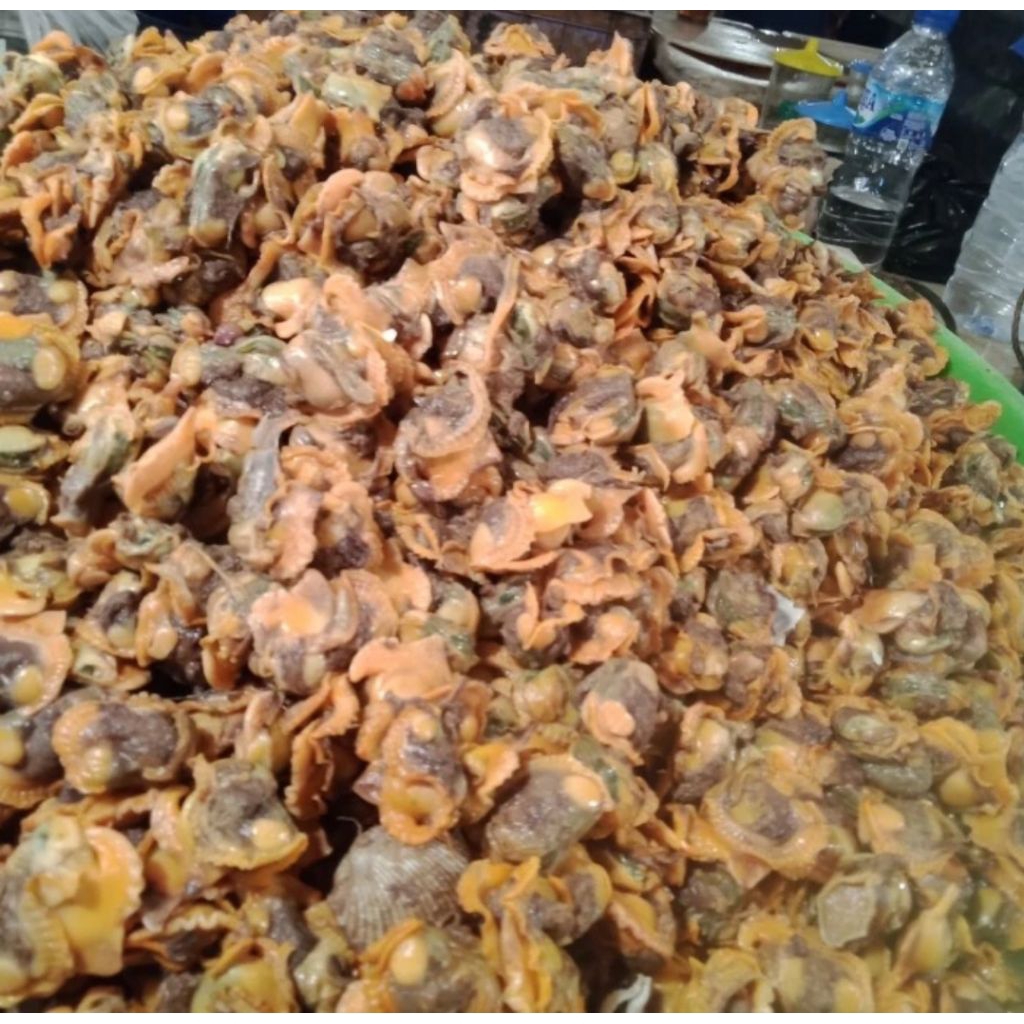 Kerang Dara Kupas