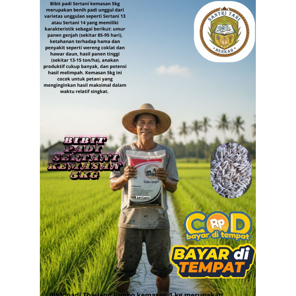 BIBIT PADI UNGUL SERTANI KEMASAN 5KG