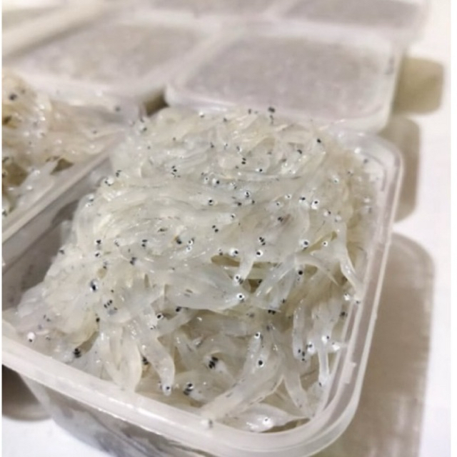 READY IKAN TERI NASI BASAH 250gr/IKAN TERI NASI SEGAR/ IKAN TERI NASI MPASI/IKAN TERI NASI BASAH FRE