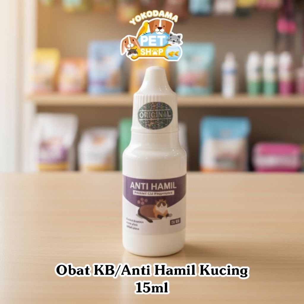 Obat KB Kucing / Obat Cegah Kehamilan Pada Kucing