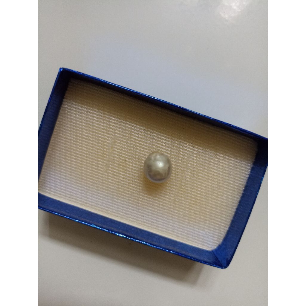 Mutiara Air Laut Asli Kepulauan Maluku