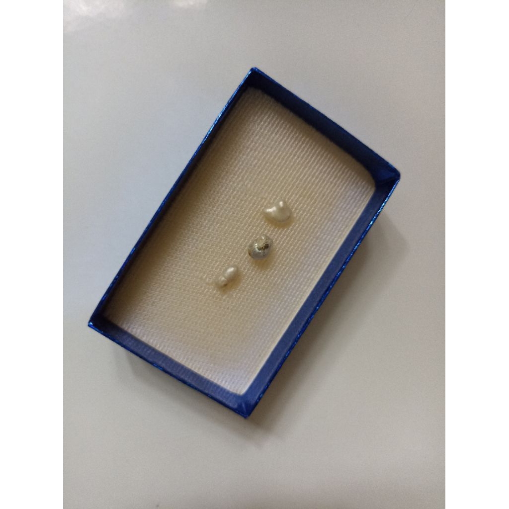 Mutiara Air Laut Asli Kepulauan Maluku