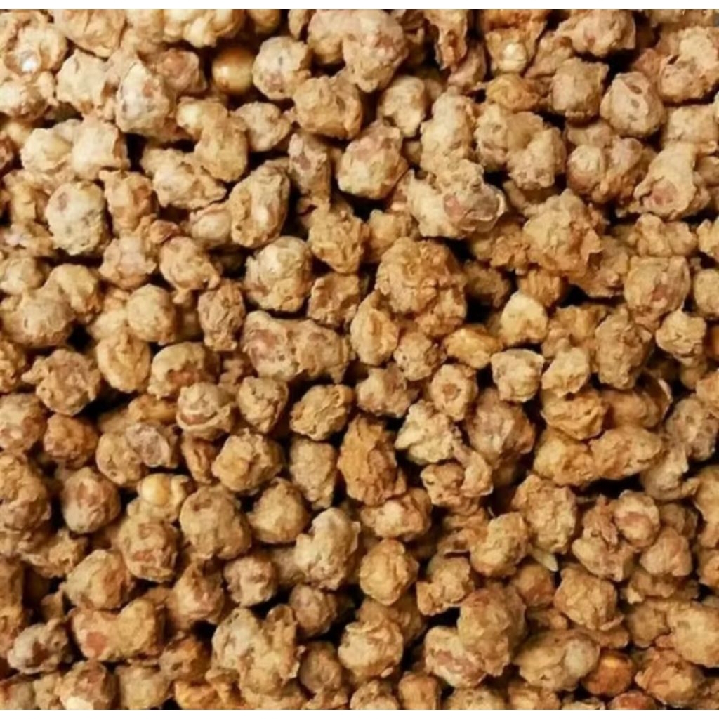 Kacang Telur Medan Satelit Palapa