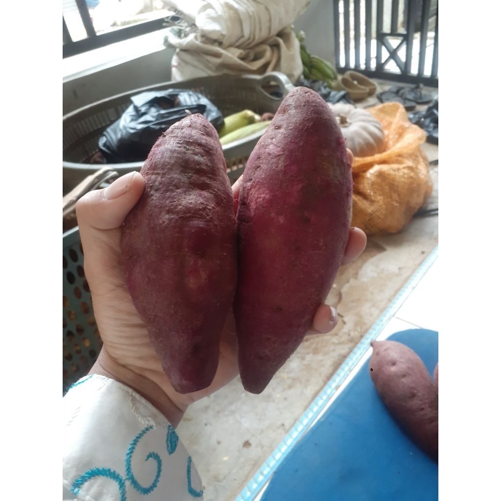 ubi ungu murasaki per1kg