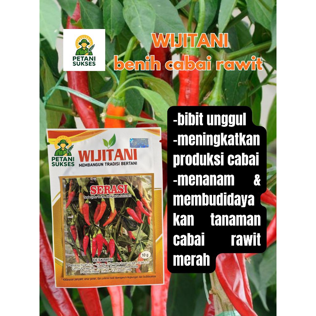 wijitani serasi benih cabai rawit